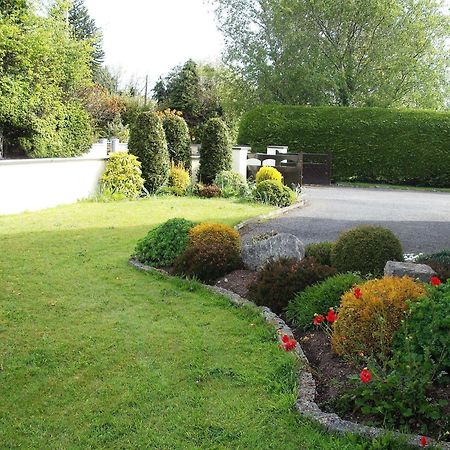 Maryville Bed And Breakfast Nenagh Kültér fotó
