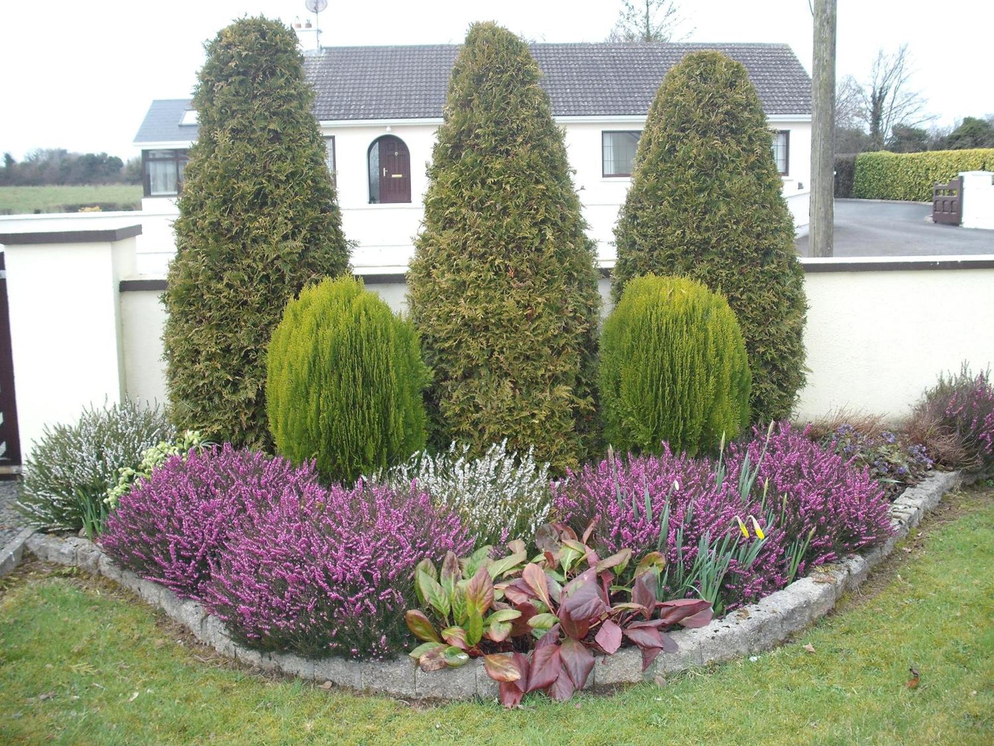 Maryville Bed And Breakfast Nenagh Kültér fotó